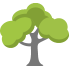 Vero Beach Tree Removal