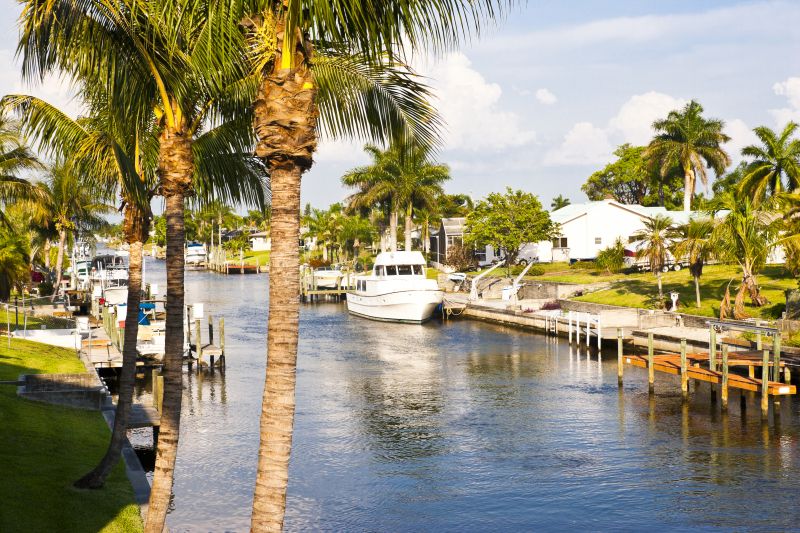 Apple Tree Removal in Port Saint Lucie, FL