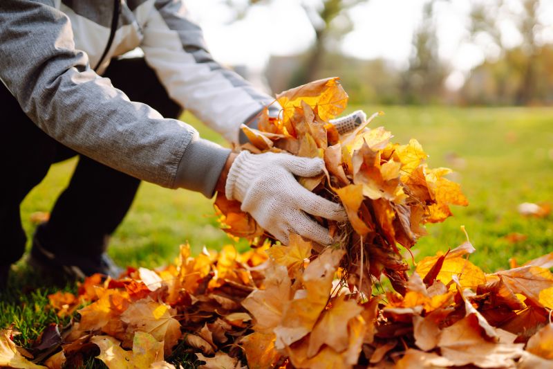 Leaf Collection Methods
