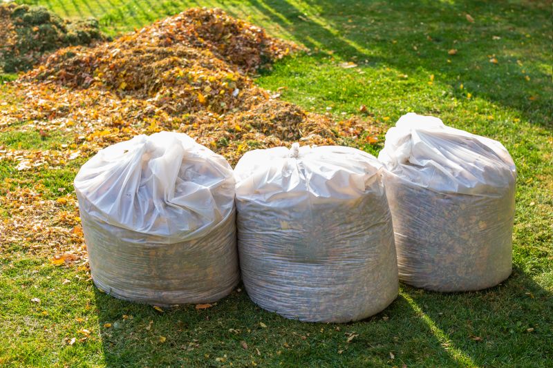Leaf Disposal Options