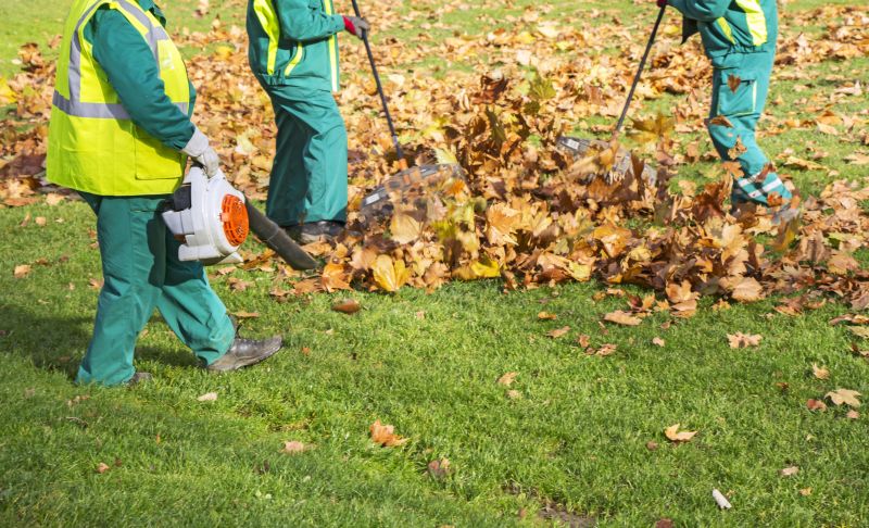 Leaf Removal Service Benefits