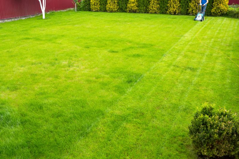 Seasonal Yard Care