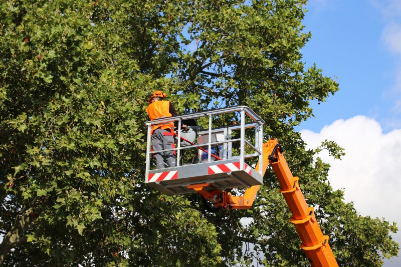 Equipment Providers
