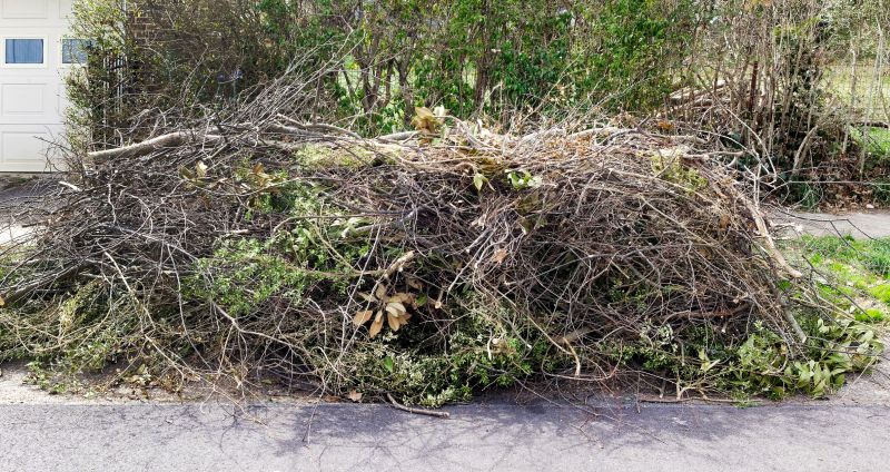Debris Cleanup